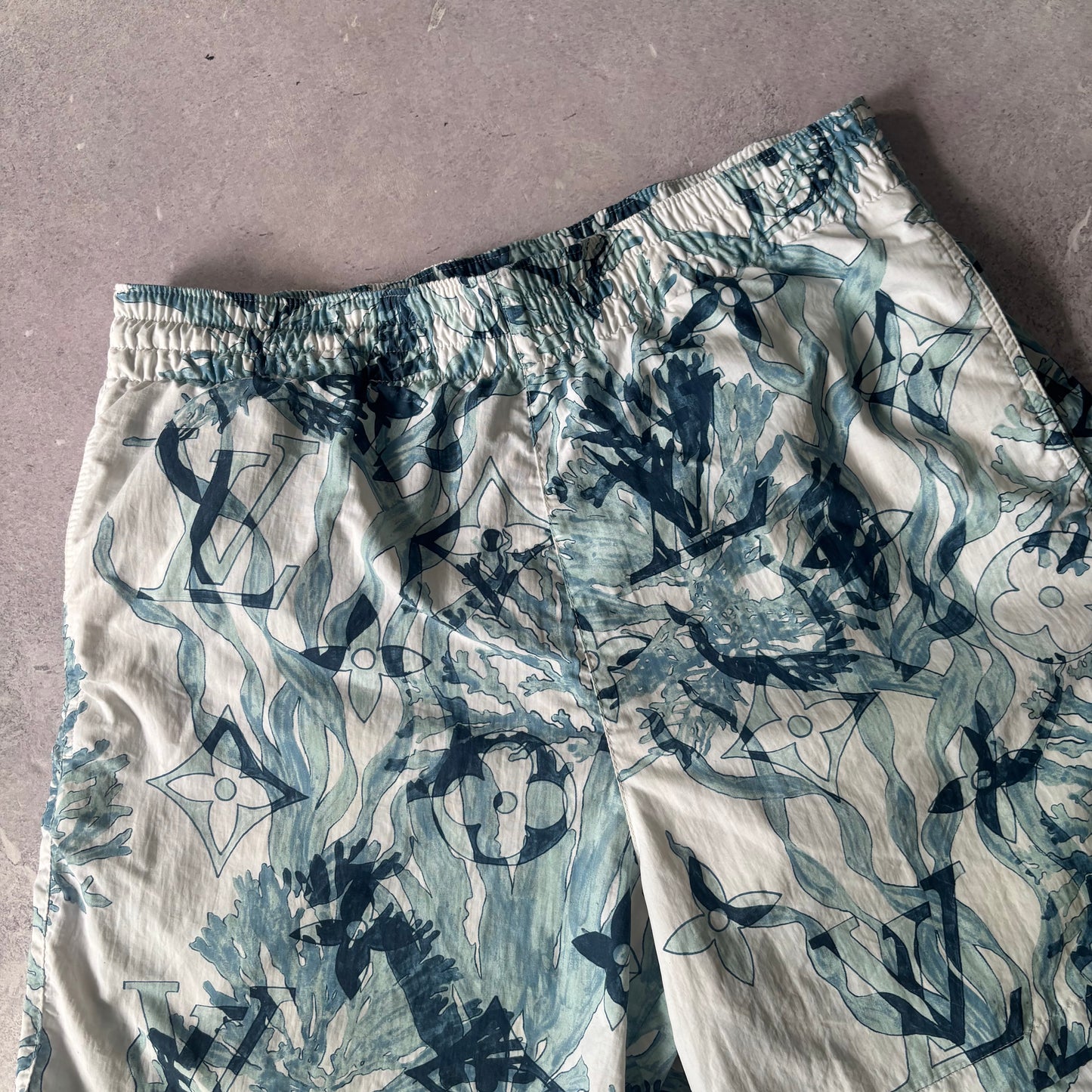 Louis Vuitton Aqua Garden Shorts - Medium