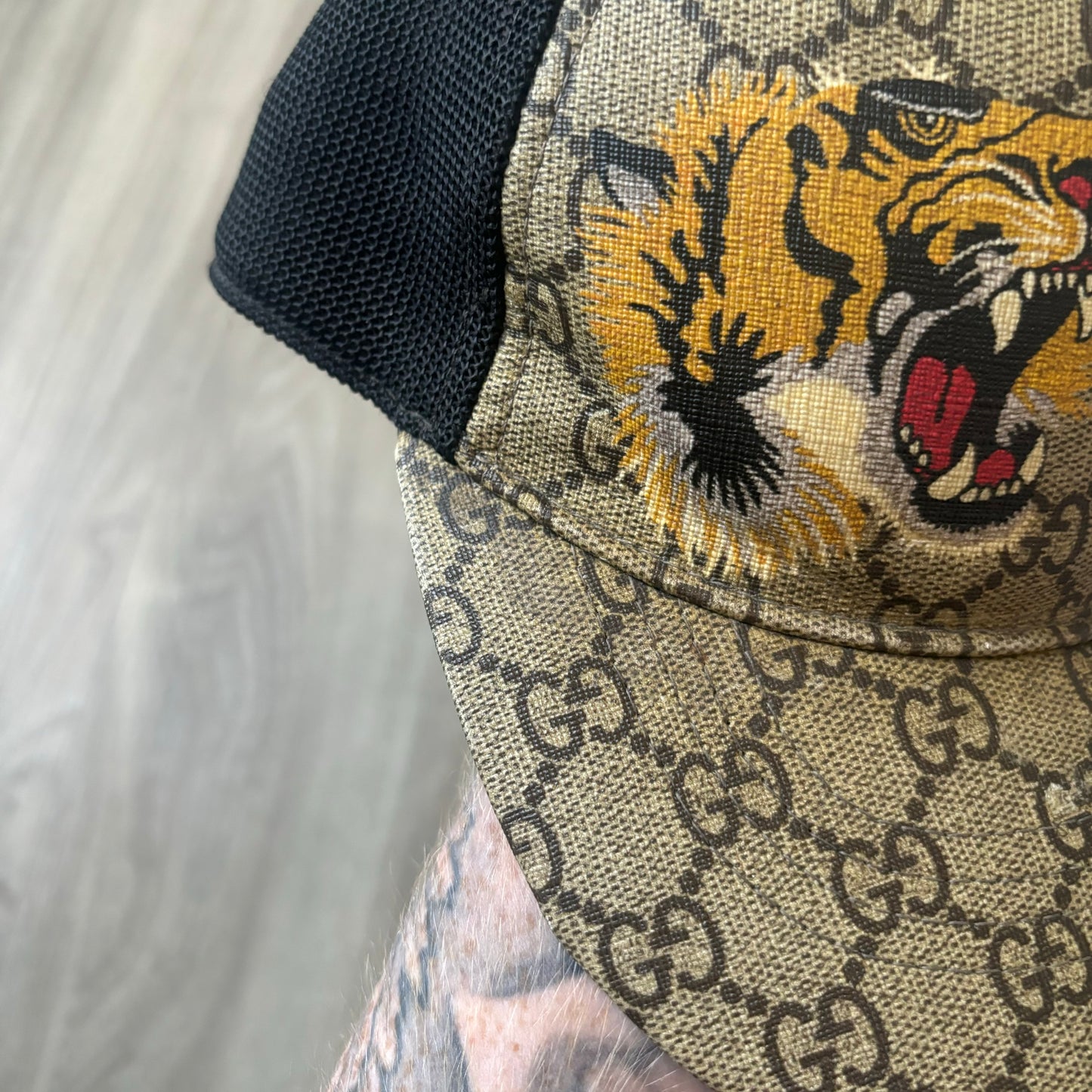 Gucci Cap (Medium)